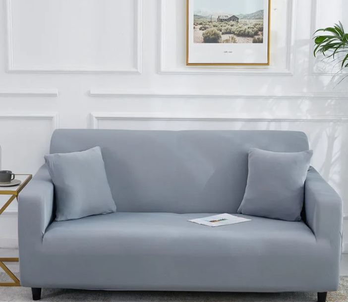 Canapé 2 places moderne en tissu gris clair avec coussins